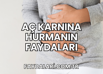 Aç Karnına Hurmanın Faydaları