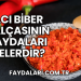 Acı Biber Salçasının Faydaları Nelerdir?
