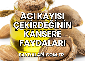 Acı Kayısı Çekirdeğinin Kansere Faydaları