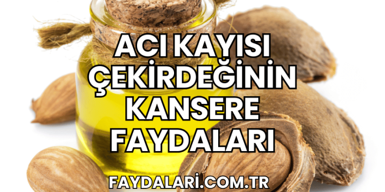 Acı Kayısı Çekirdeğinin Kansere Faydaları