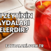 Acı Zeytinin Faydaları Nelerdir?