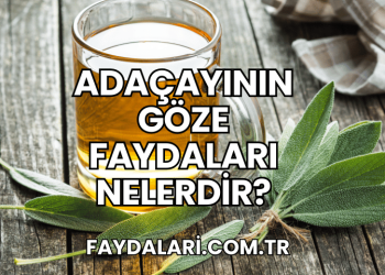 Adaçayının Göze Faydaları Nelerdir?