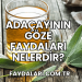 Adaçayının Göze Faydaları Nelerdir?