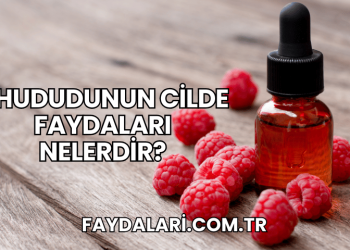 Ahududunun Cilde Faydaları Nelerdir?