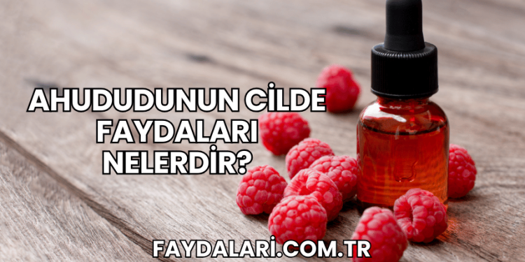 Ahududunun Cilde Faydaları Nelerdir?