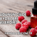 Ahududunun Cilde Faydaları Nelerdir?