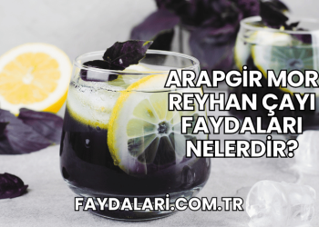 Arapgir Mor Reyhan Çayı Faydaları Nelerdir?