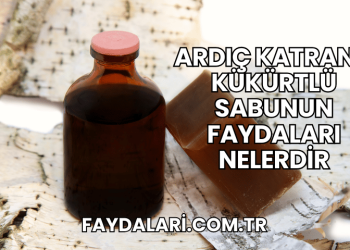 Ardıç Katranlı Kükürtlü Sabunun Faydaları Nelerdir