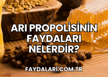 Arı Propolisinin Faydaları Nelerdir?