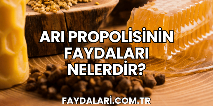 Arı Propolisinin Faydaları Nelerdir?