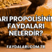 Arı Propolisinin Faydaları Nelerdir?