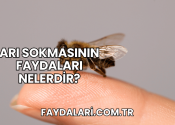 Arı Sokmasının Faydaları Nelerdir?
