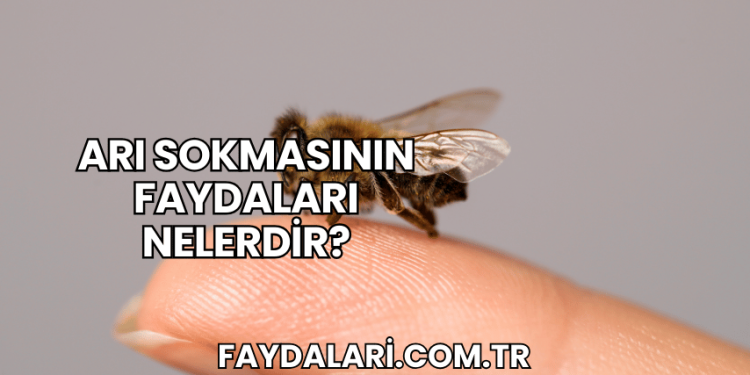 Arı Sokmasının Faydaları Nelerdir?
