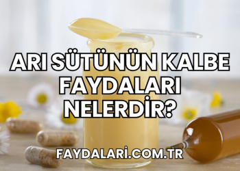Arı Sütünün Kalbe Faydaları Nelerdir?