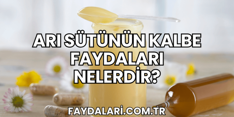 Arı Sütünün Kalbe Faydaları Nelerdir?