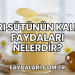 Arı Sütünün Kalbe Faydaları Nelerdir?