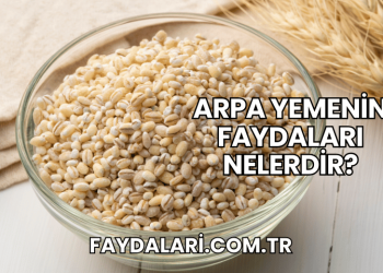 Arpa Yemenin Faydaları Nelerdir?