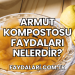 Armut Kompostosu Faydaları Nelerdir?