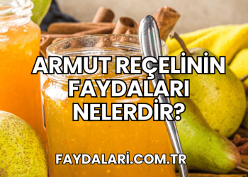 Armut Reçelinin Faydaları Nelerdir?