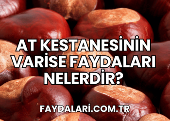 At Kestanesinin Varise Faydaları Nelerdir?