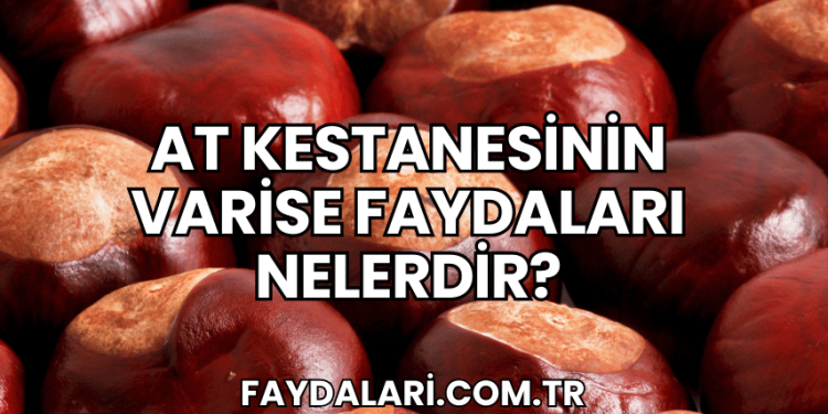 At Kestanesinin Varise Faydaları Nelerdir?