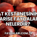 At Kestanesinin Varise Faydaları Nelerdir?