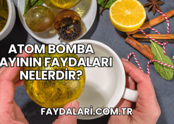 Atom Bomba Çayının Faydaları Nelerdir?
