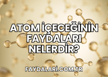 Atom İçeceğinin Faydaları Nelerdir?