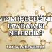 Atom İçeceğinin Faydaları Nelerdir?