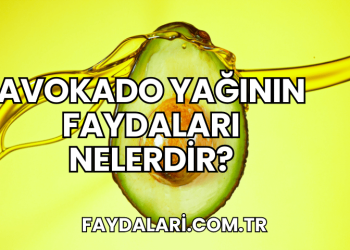 Avokado Yağının Faydaları Nelerdir?
