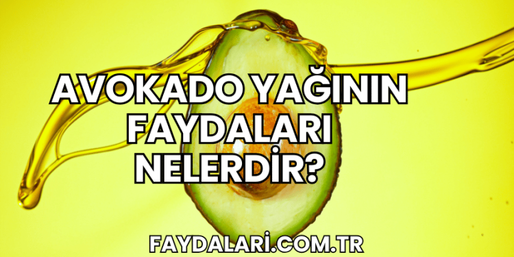 Avokado Yağının Faydaları Nelerdir?
