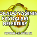 Avokado Yağının Faydaları Nelerdir?