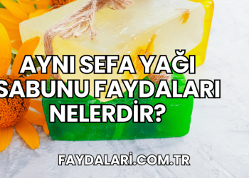Aynı Sefa Yağı Sabunu Faydaları Nelerdir?