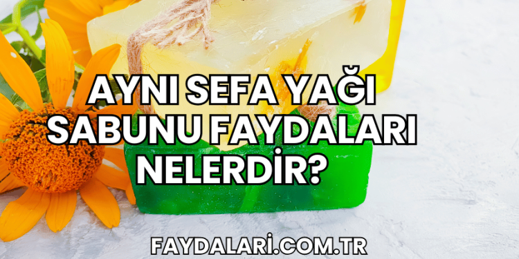 Aynı Sefa Yağı Sabunu Faydaları Nelerdir?