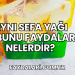 Aynı Sefa Yağı Sabunu Faydaları Nelerdir?