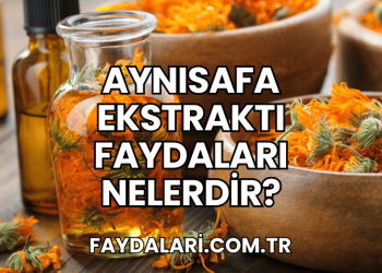 Aynısafa Ekstraktı Faydaları Nelerdir?
