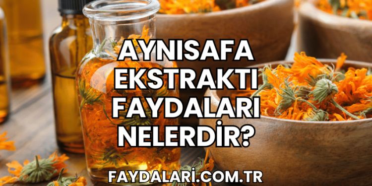 Aynısafa Ekstraktı Faydaları Nelerdir?