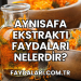 Aynısafa Ekstraktı Faydaları Nelerdir?