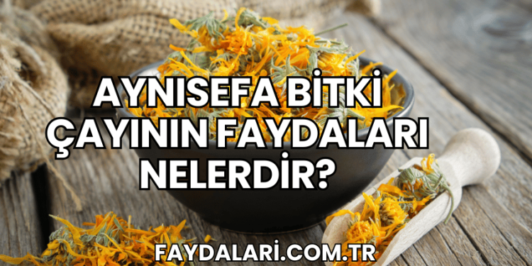 Aynısefa Bitki Çayının Faydaları Nelerdir?