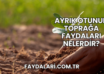 Ayrık Otunun Toprağa Faydaları Nelerdir?