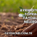 Ayrık Otunun Toprağa Faydaları Nelerdir?