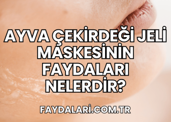 Ayva Çekirdeği Jeli Maskesinin Faydaları Nelerdir?