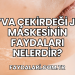 Ayva Çekirdeği Jeli Maskesinin Faydaları Nelerdir?