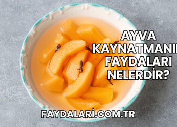 Ayva Kaynatmanın Faydaları Nelerdir?