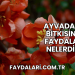 Ayvadana Bitkisinin Faydaları Nelerdir?