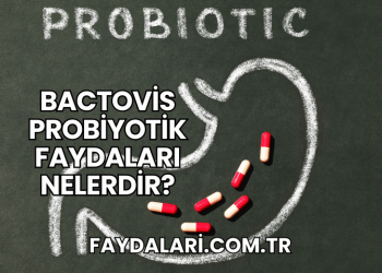 Bactovis Probiyotik Faydaları Nelerdir?