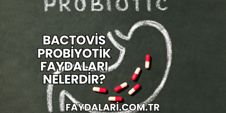 Bactovis Probiyotik Faydaları Nelerdir?