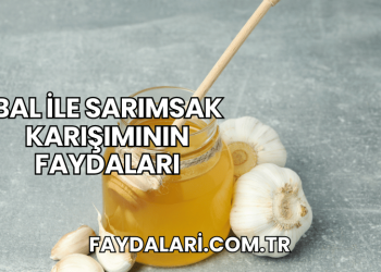 Bal ile Sarımsak Karışımının Faydaları