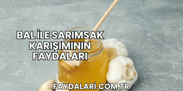 Bal ile Sarımsak Karışımının Faydaları