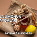 Bal ve Limon Suyunun Faydaları